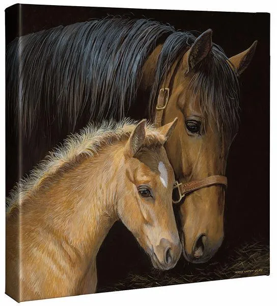 Gentle Touch—Horses