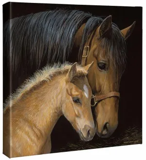 Gentle Touch—Horses