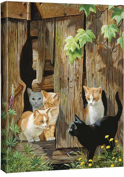 Hole in the Wall Gang—Kittens