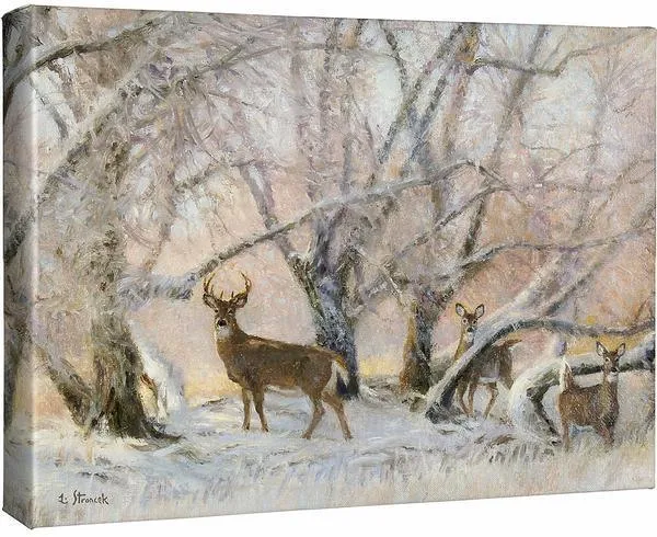 Morning Hoarfrost—Whitetail Deer