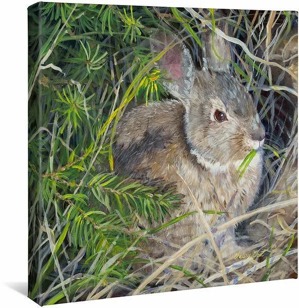 Peter Cottontail