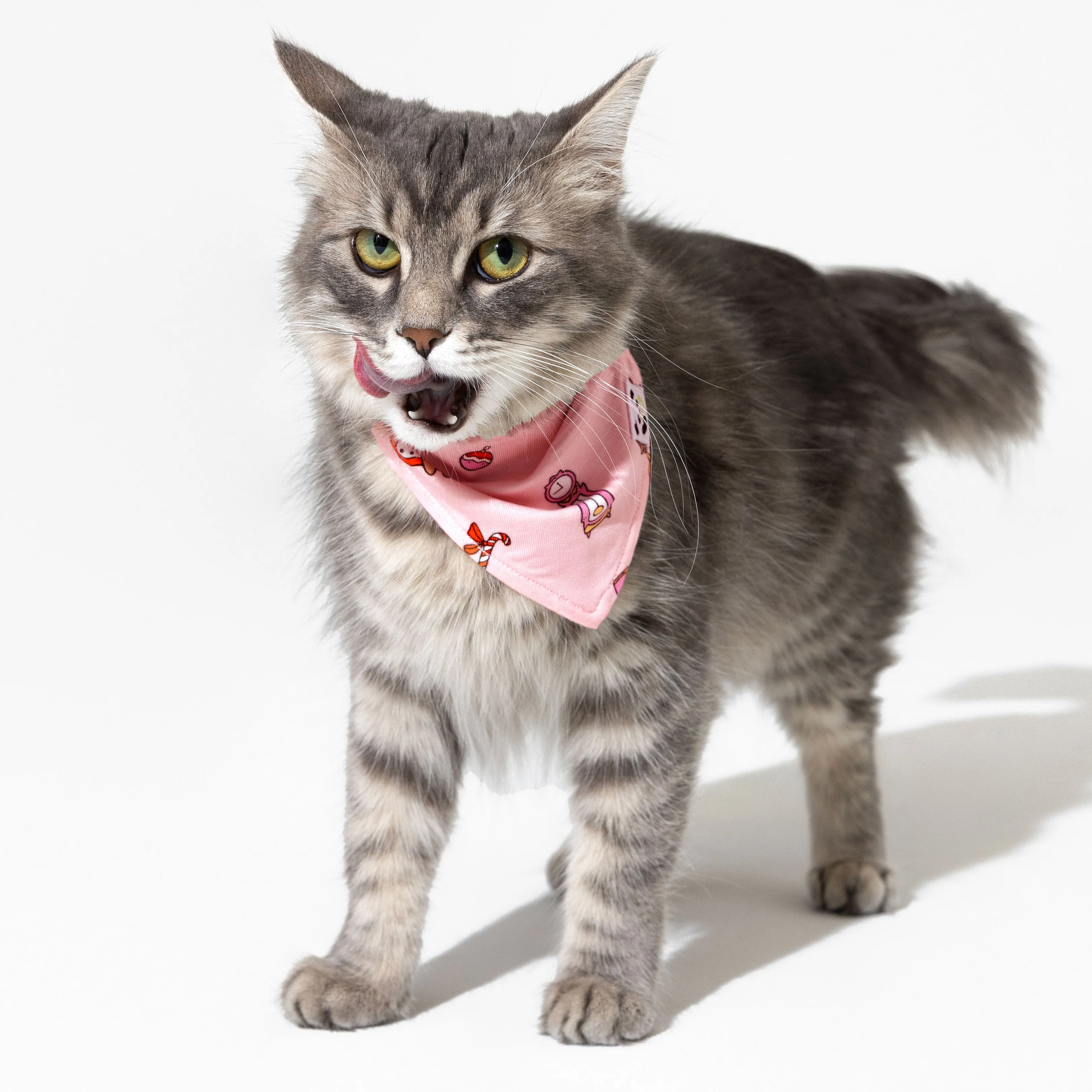 Santa's Workshop Bamboo Matching Pet Bandana