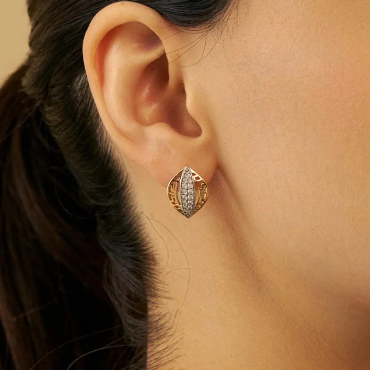 Trendy Earring 179299