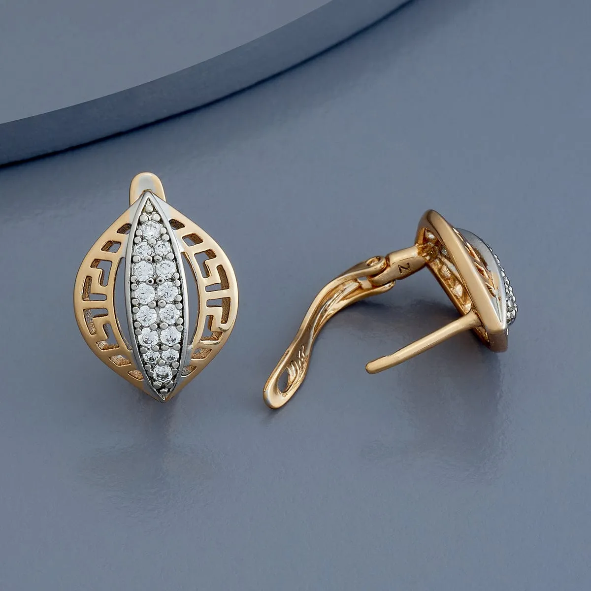 Trendy Earring 179299